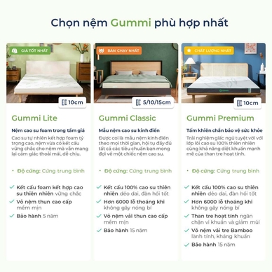 Nệm cao su thiên nhiên Gummi Premium detox giấc ngủ dày 10cm - Ảnh 12