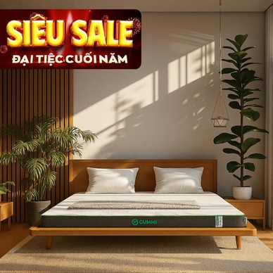 Nệm cao su thiên nhiên Gummi Premium detox giấc ngủ dày 10cm - Ảnh 2
