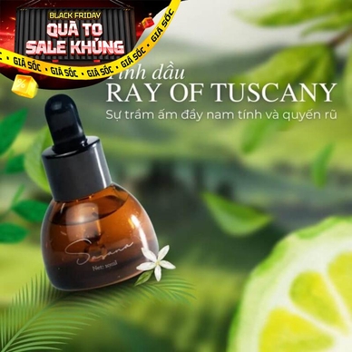 Tinh dầu Sasana Ray Of Tuscany - Ảnh 2