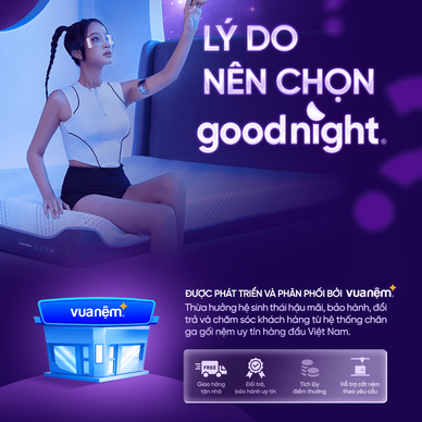 Nệm cao su đa tầng Goodnight Latex Hybrid (Rena) vững chắc, thông thoáng dày 10cm - Ảnh 16