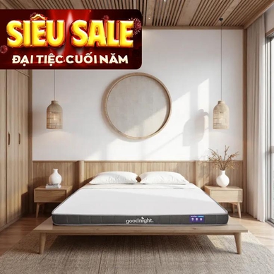 Nệm cao su đa tầng Goodnight Latex Hybrid (Rena) vững chắc, thông thoáng dày 10cm - Ảnh 2