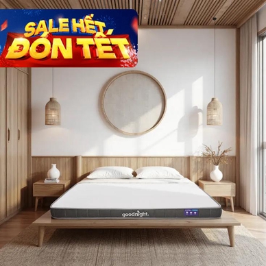 Nệm cao su đa tầng Goodnight Latex Hybrid (Rena) vững chắc, thông thoáng dày 10cm - Ảnh 2