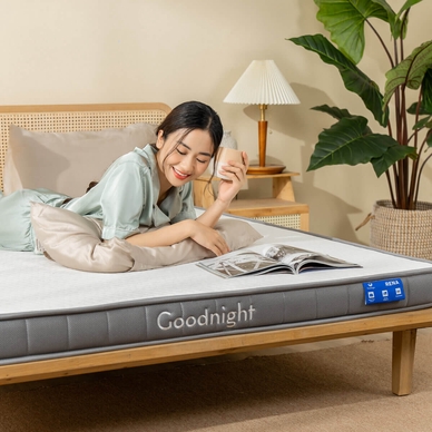 Nệm cao su đa tầng Goodnight Latex Hybrid (Rena) vững chắc, thông thoáng dày 10cm - Ảnh 15