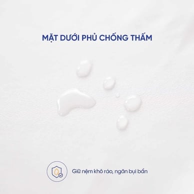 Ga chống thấm Goodnight Sumi mềm mại, kháng khuẩn, thông thoáng - Ảnh 8