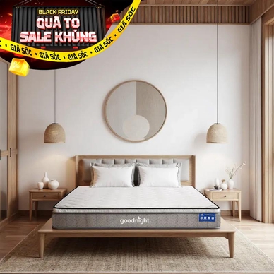 Nệm lò xo Goodnight SleepWave Hybrid (Sleep Wave 4.0) giảm tiếng ồn dày 20cm - Ảnh 2
