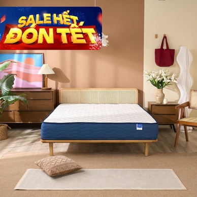 Nệm lò xo Dream Spring cách ly chuyển động dày 25cm (hàng xả) - Ảnh 2