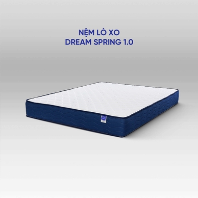 Nệm lò xo Dream Spring cách ly chuyển động dày 25cm - Ảnh 4