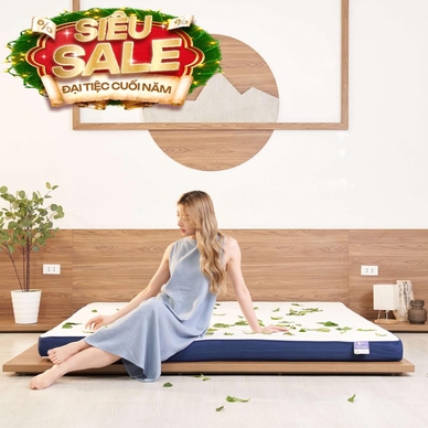 Nệm foam Goodnight Nagoya kháng khuẩn dày 12cm - Ảnh 2