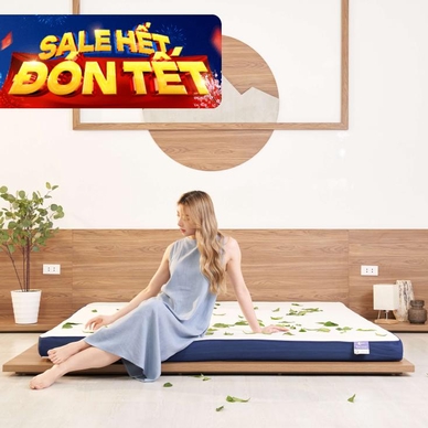 Nệm foam Goodnight Nagoya kháng khuẩn dày 12cm - Ảnh 2