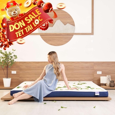 Nệm foam Goodnight Nagoya kháng khuẩn dày 12cm - Ảnh 2