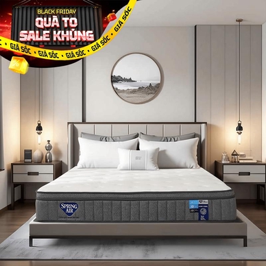 Nệm lò xo Spring Air Back Supporter Firm Cool nâng đỡ làm mát dày 26cm - Ảnh 2