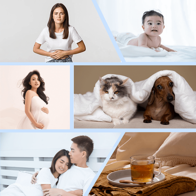 Bảo vệ nệm Doona Tencel - Ảnh 7