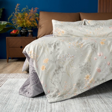 Bộ Ga chun Amando Comfort Cotton Select - Ảnh 72