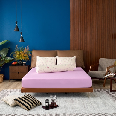 Bộ Ga chun Amando Comfort Cotton Select - Ảnh 12