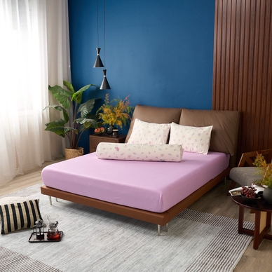 Bộ Ga chun Amando Comfort Cotton Select - Ảnh 42