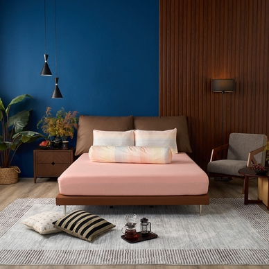 Bộ Ga chun Amando Comfort Cotton Select - Ảnh 7