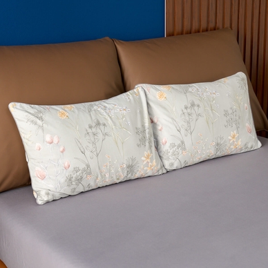 Bộ Ga chun Amando Comfort Cotton Select - Ảnh 67