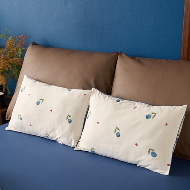 Bộ Ga chun Amando Comfort Cotton Select - Ảnh 30