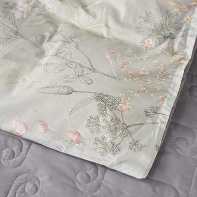 Bộ phủ Amando Comfort Cotton Select - Ảnh 34