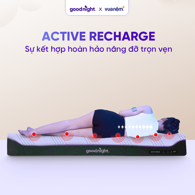 Nệm foam công nghệ Đức Goodnight Active Hybrid dày 20cm - Ảnh 13