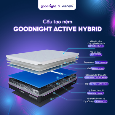 Nệm foam công nghệ Đức Goodnight Active Hybrid dày 20cm - Ảnh 3