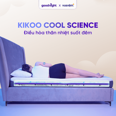 Nệm foam công nghệ Đức Goodnight Active Hybrid dày 20cm - Ảnh 15