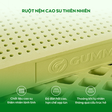 Nệm Gummi Signature – Công nghệ kép, nâng đỡ vượt trội, kháng khuẩn tối đa - Ảnh 5