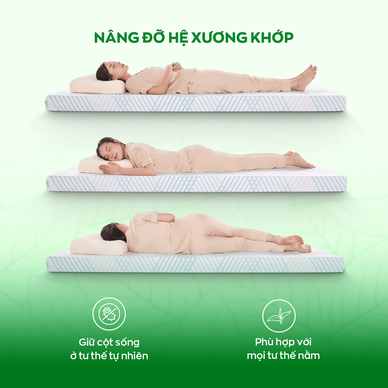 Nệm Gummi Signature – Công nghệ kép, nâng đỡ vượt trội, kháng khuẩn tối đa - Ảnh 8