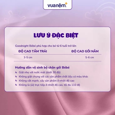 Gối bông trẻ em Goodnight Deepsleep Khủng Long TC001 - Ảnh 4