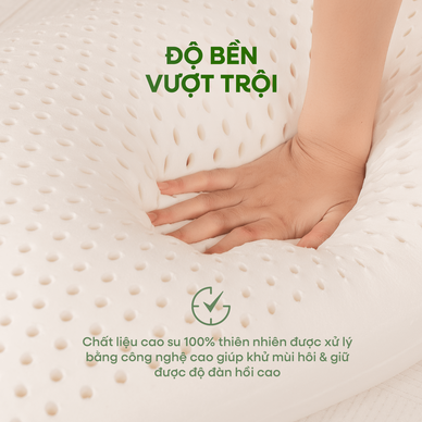 Gối cao su thiên nhiên Gummi Ovalux - Ảnh 6