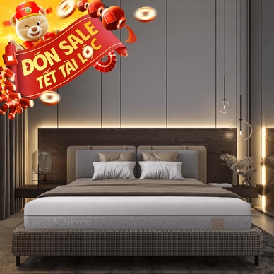 Nệm foam Comfy Lux 3.0 cao cấp tương thích toàn diện dày 25cm - Thumbnail