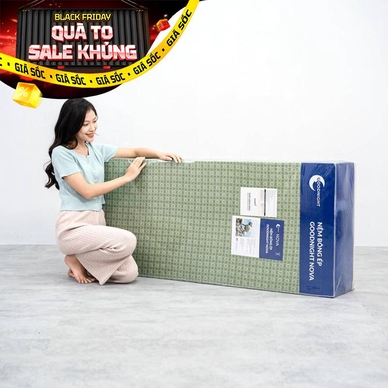 Nệm bông ép Goodnight Nova gấp 3 dày 5/9cm - Thumbnail