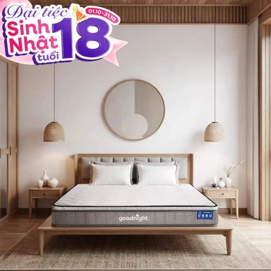 Nệm lò xo Goodnight SleepWave Hybrid (Sleep Wave 4.0) giảm tiếng ồn dày 20cm - Thumbnail