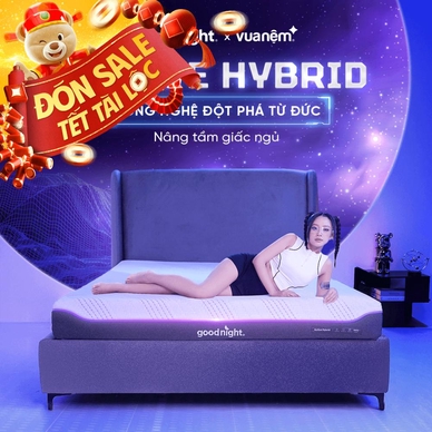 Nệm foam công nghệ Đức Goodnight Active Hybrid dày 20cm - Thumbnail