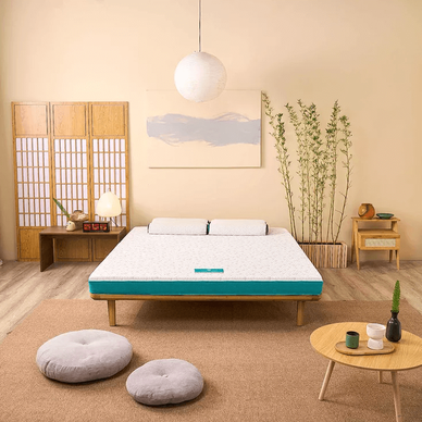 Nệm foam Nhật Bản Aeroflow Standard nâng đỡ cơ thể dày 12cm - Thumbnail