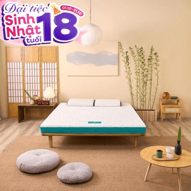 Nệm foam Nhật Bản Aeroflow Standard nâng đỡ cơ thể dày 12cm - Thumbnail