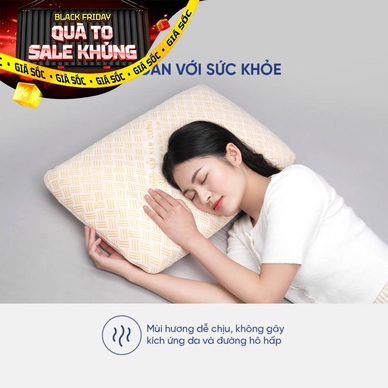 Gối Cao su Dreamland Ovan - Thumbnail