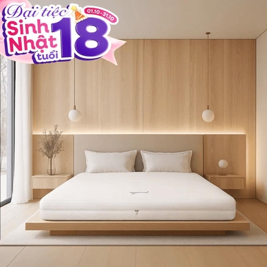 Nệm cao su cao cấp Gummi Legend nhập khẩu dày 20cm - Thumbnail