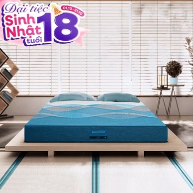 Nệm foam Nhật Bản Aeroflow Pride bảo vệ cột sống dày 22cm - Thumbnail