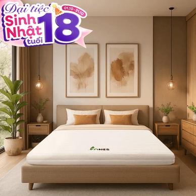 Nệm cao su Gummi 7zones nhập khẩu dày 12cm - Thumbnail