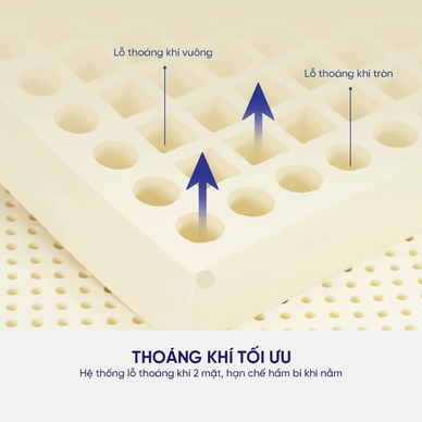 Nệm cao su thiên nhiên Liên Á Classic dày 5/10cm - Ảnh 4