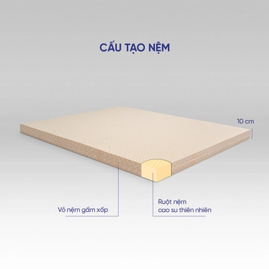 Nệm cao su Kim Cương Happy Gold dày 5/10/15cm - Ảnh 4