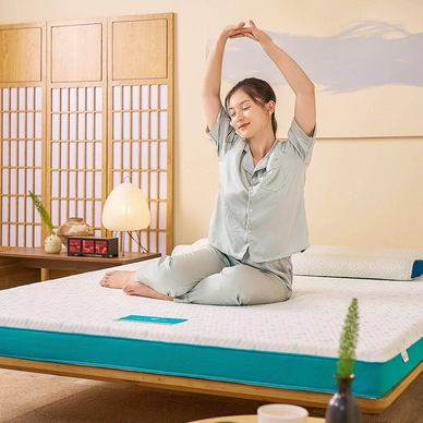 Nệm foam Nhật Bản Aeroflow Standard nâng đỡ cơ thể dày 12cm - Ảnh 7