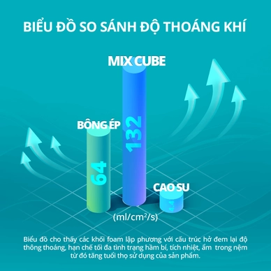 Nệm foam Nhật Bản Aeroflow Fit Plus kháng khuẩn dày 20cm - Ảnh 7