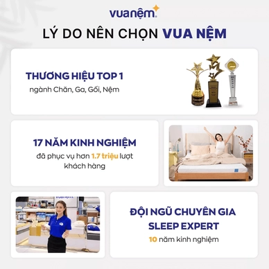 Nệm cao su thiên nhiên Gummi Classic thế hệ mới dày 5/10/15cm - Ảnh 12