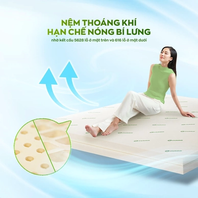 Nệm cao su thiên nhiên Gummi Classic thế hệ mới dày 5/10/15cm - Ảnh 4
