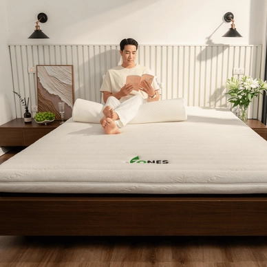 Nệm cao su Gummi 7zones nhập khẩu dày 12cm - Ảnh 3