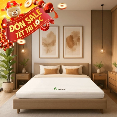 Nệm cao su Gummi 7zones nhập khẩu dày 12cm - Ảnh 2