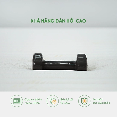 Nệm cao su Gummi 7zones nhập khẩu dày 12cm - Ảnh 8