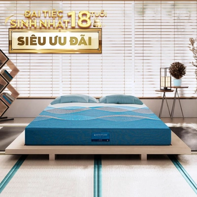 Nệm foam Nhật Bản Aeroflow Pride bảo vệ cột sống dày 22cm - Ảnh 2